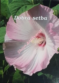 DOBRÁ SETBA 2011