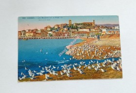 CANNES - Les Mouettes sur la Plage LL (200)