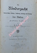 Die Rinderzucht. Körperbau, Schläge, Züchtung, Haltung und Nutzung des Rindes. Praktisches Handbuch