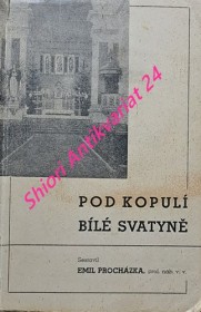 POD KOPULÍ BÍLÉ SVATYNĚ - Svazek II