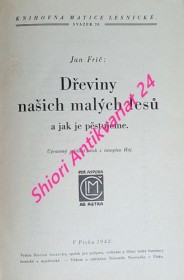 DŘEVINY NAŠICH MALÝCH LESŮ A JAK JE PĚSTUJEME