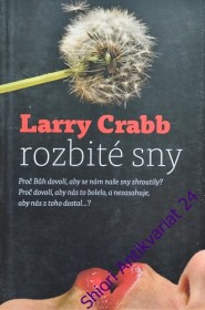 ROZBITÉ SNY