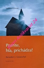 POZRITE, HLA, PRICHÁDZA !  Meditácie o vtelení