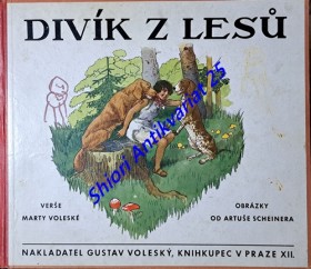 DIVÍK Z LESŮ - Verše