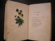 Nouveau langage des fleurs, ou parterre de flore, contenant le symbole et le langage des fleurs, leur histoire et leur origine mythologique, ainsi que les plus jolis vers composes a ce sujet.