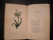 Nouveau langage des fleurs, ou parterre de flore, contenant le symbole et le langage des fleurs, leur histoire et leur origine mythologique, ainsi que les plus jolis vers composes a ce sujet.