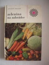 Zelenina na zahrádce