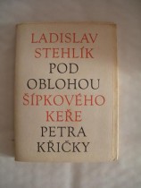 Pod oblohou Šípkového keře Petra Křičky