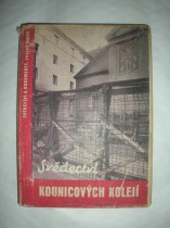 Svědectví Kounicových kolejí (3)