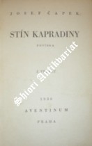 Stín kapradiny