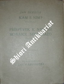 KAM S NÍM ? Feuilleton / PŘÍSPĚVEK K NYNĚJŠÍ MOSAICE SEBEVRAŽD - Feuilleton