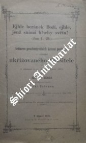 SEDMERO PROSTONÁRODNÍCH KÁZÁNÍ POSTNÍCH O OBRAZU UKŘIŽOVANÉHO SPASITELE