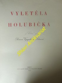 VYLETĚLA HOLUBIČKA